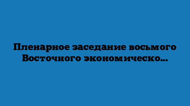 Пленарное заседание восьмого Восточного экономического форума