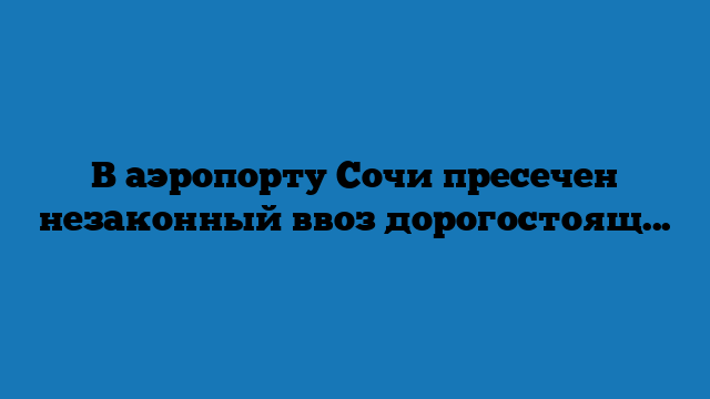 В аэропорту Сочи пресечен незаконный ввоз дорогостоящих часов В аэропорту Сочи пресечен незаконный ввоз дорогостоящих часов